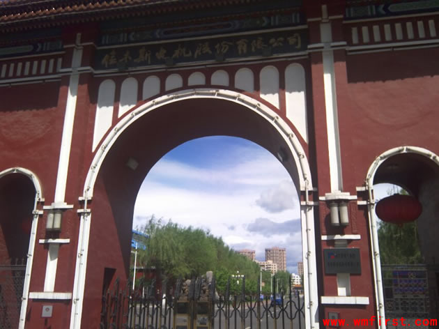 佳木斯電機(jī)股份有限公司